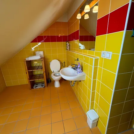 Domov Pro 8 Hostu Ve Meste Villa Karlovy Vary